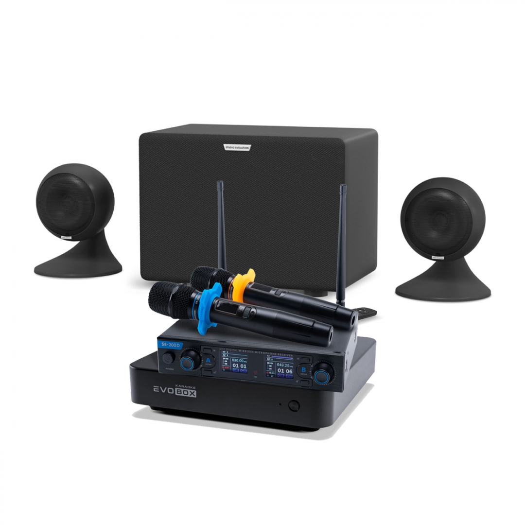 караоке-комплект EVOBOX + EvoSound Sphere 2.1 в Кущевской
