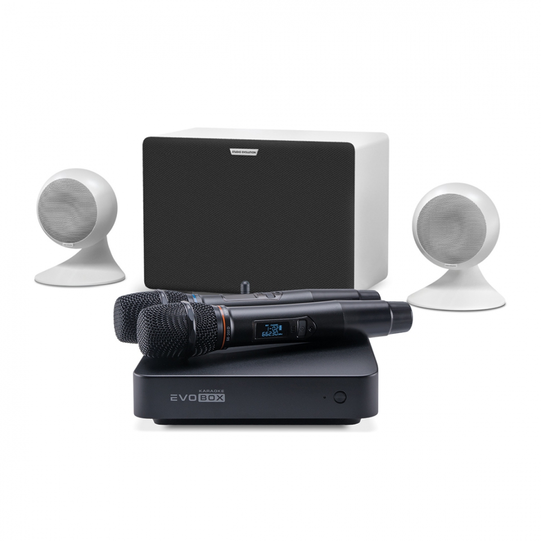 караоке-комплект EVOBOX Classic + EvoSound Sphere 2.1 в Кущевской