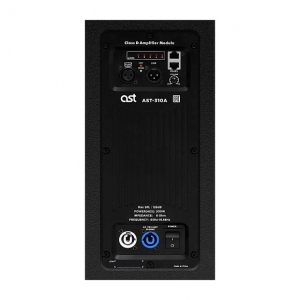 Активная акустическая система AST-310A в Кущевской