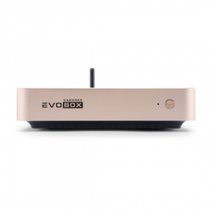EVOBOX Plus караоке-система для дома в Кущевской