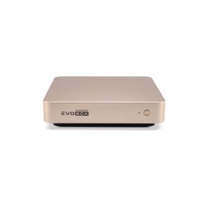 EVOBOX с микрофонами в Кущевской
